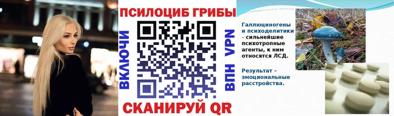 Псилоцибиновые грибы Cubensis  Чернушка 