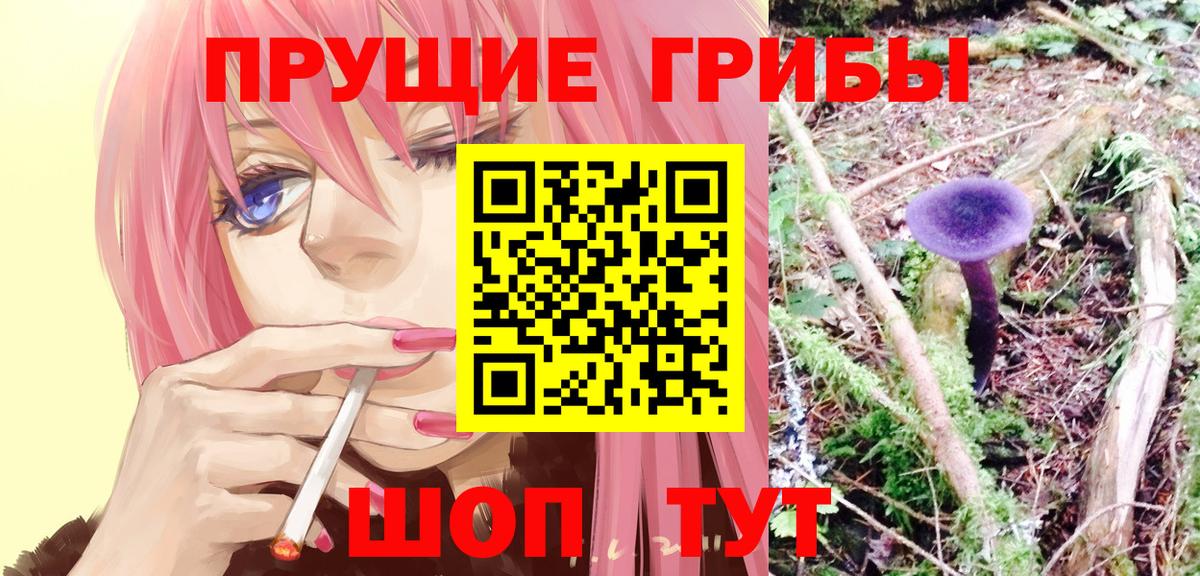 Псилоцибиновые грибы прущие грибы  Чернушка  Галлюциногенные грибы прущие грибы 