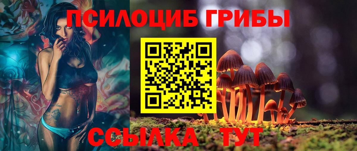 Галлюциногенные грибы GOLDEN TEACHER  Вход с VPN  Чернушка 