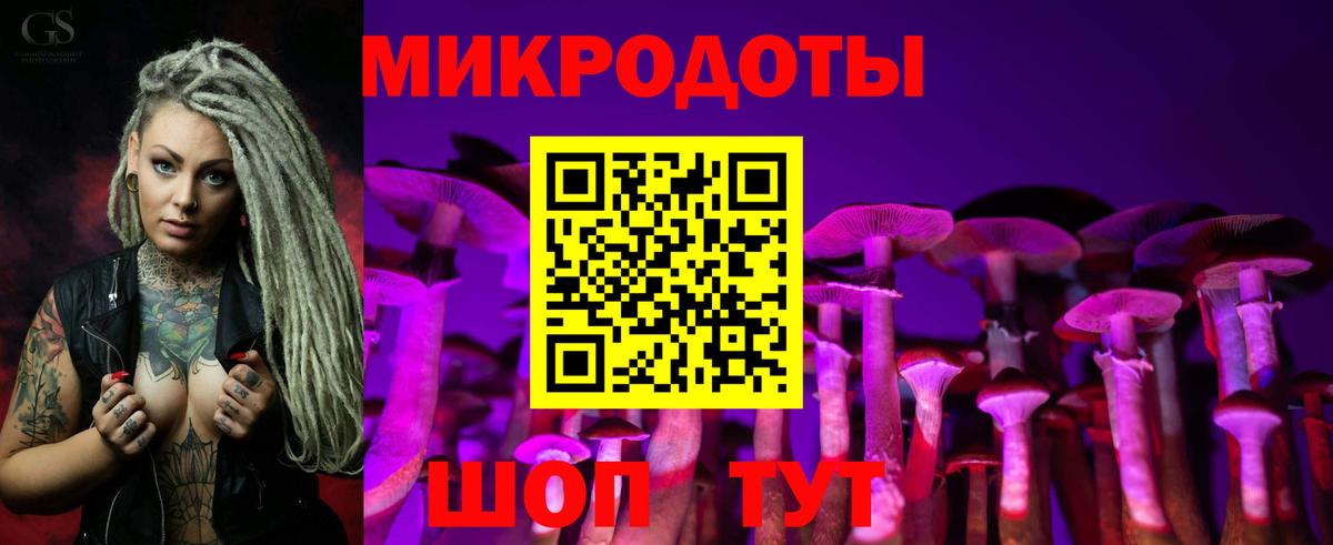 Галлюциногенные грибы Psilocybe Чернушка